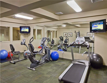 Wellness/fitness room